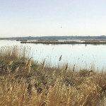 红海子湿地公园