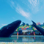 阜阳尧泰汉海海洋公园