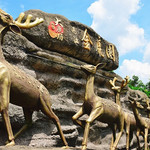 金鹿园