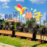 新希望种子乐园