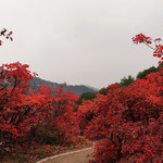 神灵寨景区