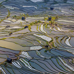 元阳哈尼梯田