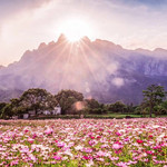 庐山鄱湖湾