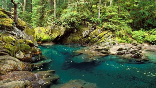 靖安三爪仑白水洞