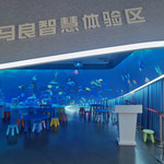 妙笔智慧乐园
