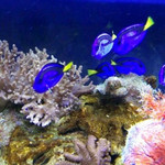 运城海洋馆