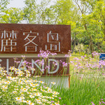 麓湖水城