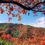 甘山国家森林公园