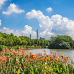 海珠湖
