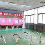 石门弓箭俱乐部