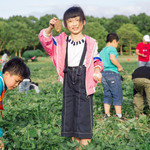 上海都市菜园