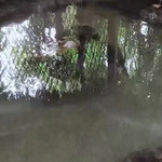假日温泉