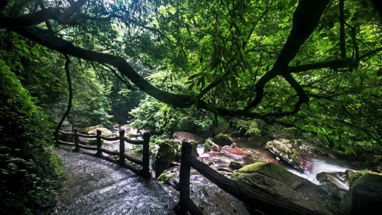 亚木沟风景区门票
