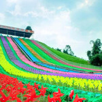 绵阳北川飞鸿滑草场