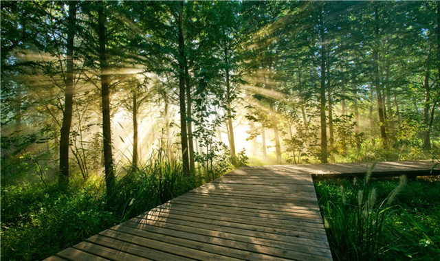 溱湖国家湿地公园