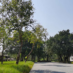 广阳岛