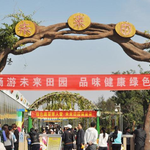 泰山花样年华