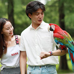 鹦鹉馆