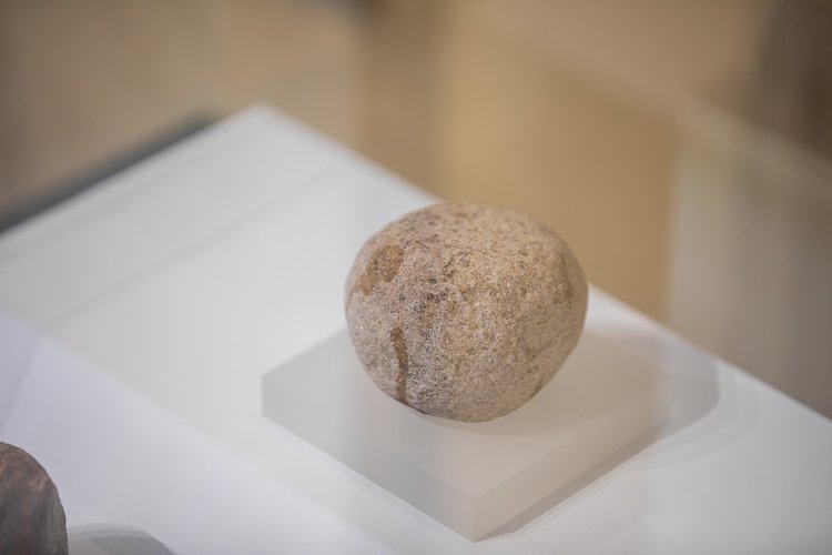 探访万年稻作起源上山遗址