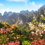 朝天吼观光