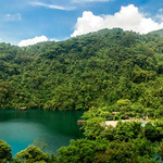 肇庆鼎湖山景区