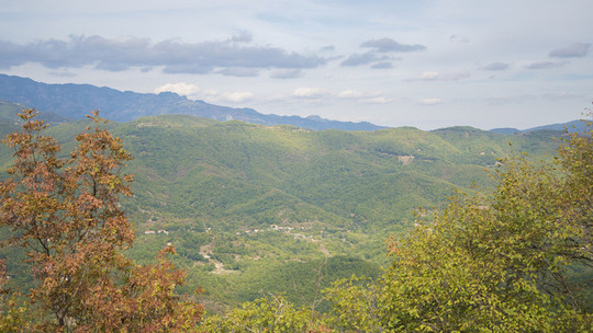 照金香山门票