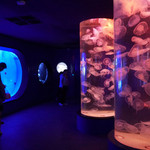 青岛水族馆