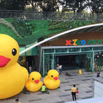 绿色星球海洋动物乐园