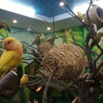 天津zoonly动物主题公园