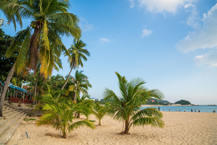 椰树沙滩,碧海蓝天,一个人的自在三亚