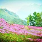 太白县药王谷风景区