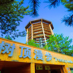 树顶漫步