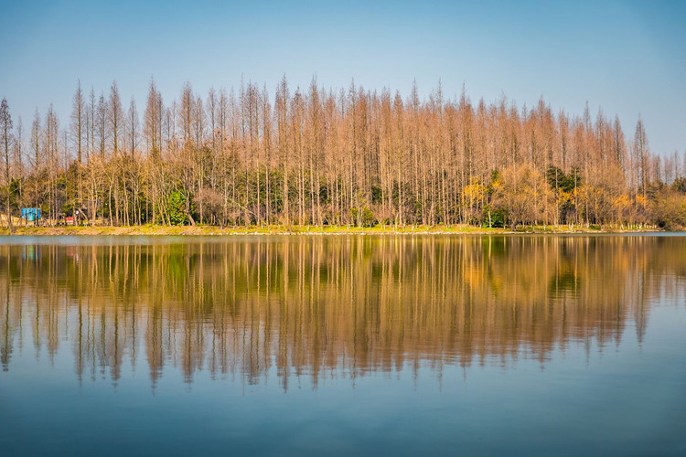 崇明岛最强游玩攻略,快来收藏吧~ - 崇明县游记攻略【同程旅游攻略】