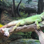 zoolungzoolung动物主题公园（东湖店）