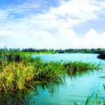 西沙湿地公园