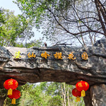 婆仙岭樱花园