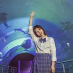 鼓浪屿贝壳梦幻世界