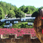 岭南景区