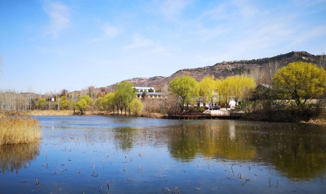 圣地桃源泗水桃花节