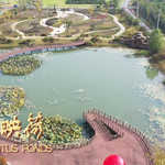 扬州观月湖