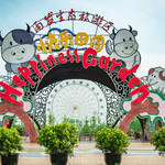 雨发快乐田园