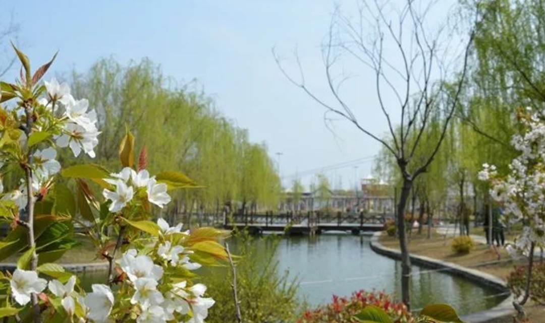 徐州月半湾森林公园