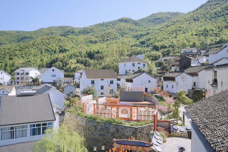 杭州"鸬鸟山花节"赏花,采茶正当时