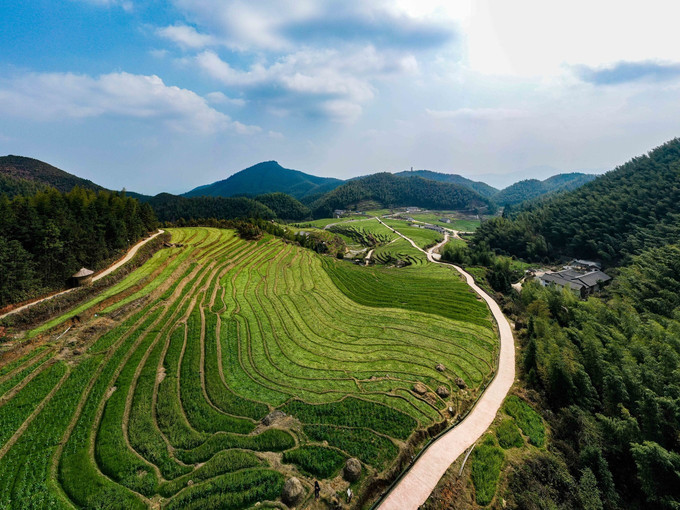 赣州崇义|看梯田万亩,森林公园看桃花肆意