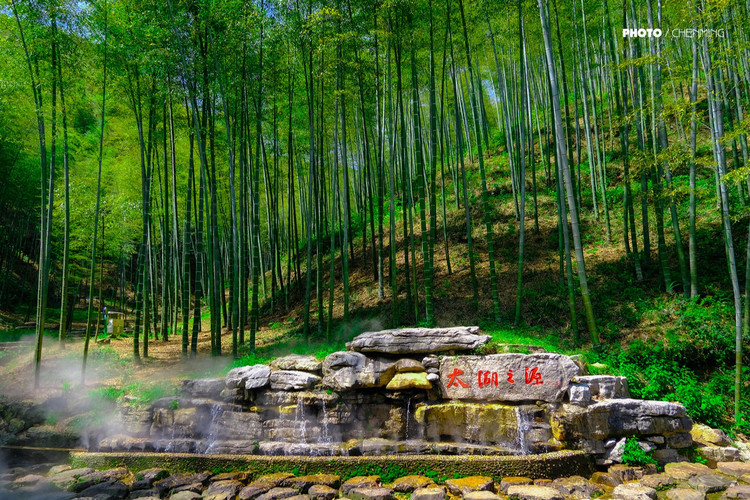 春日美好,不负好时光,快来宜兴竹海吧!