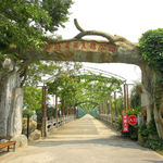 上海马陆葡萄主题公园