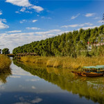 白渔泡湿地公园