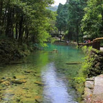 雁荡山森林公园