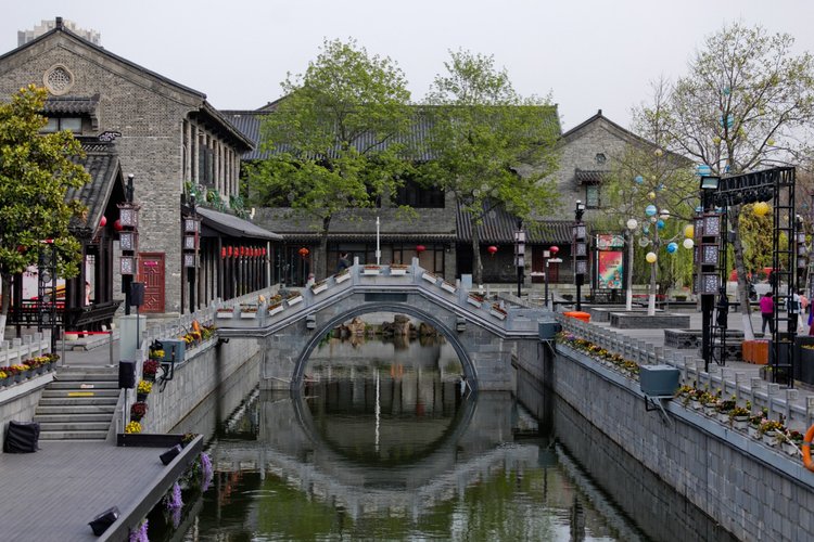 盐城旅游|走进仙鹤神鹿世界,赏漫天花海