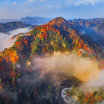 黎坪森林公园